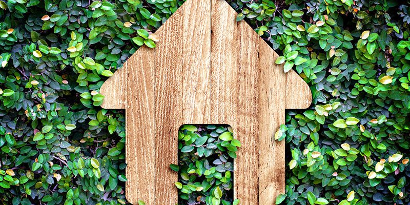 Sustainably Clean: The Importance of Eco-Friendly Exterior Cleaning