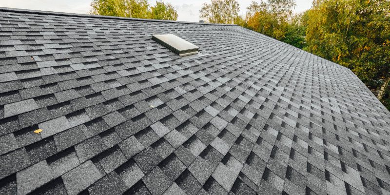 Shingle Roof Cleaning in Champaign, Illinois
