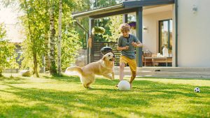 Pet-Safe Exterior Cleaning: How We Protect Your Pets and Your Property