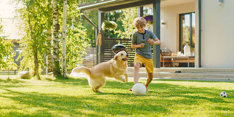 Pet-Safe Exterior Cleaning: How We Protect Your Pets and Your Property