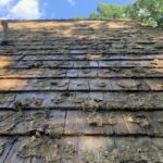 Shake Roof Cleaning