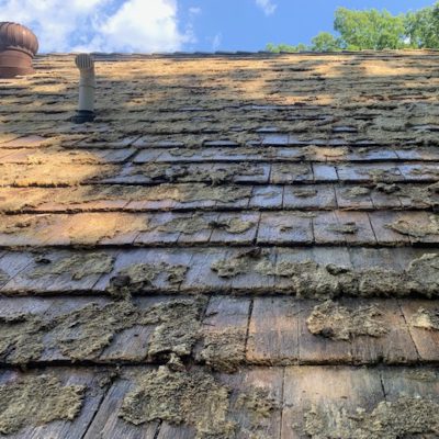 Shake Roof Cleaning in Charleston, Ilinois