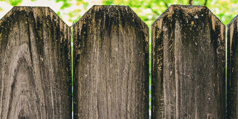 Fence Cleaning Dos and Don’ts