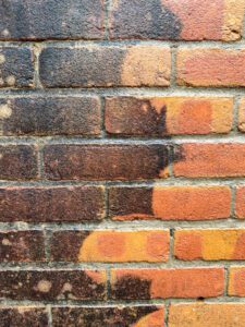 Exterior House Cleaning 101