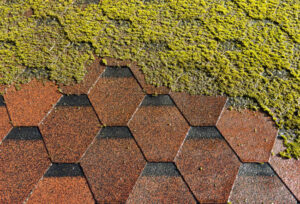 Soft Washing vs. Pressure Washing: What’s the Difference?