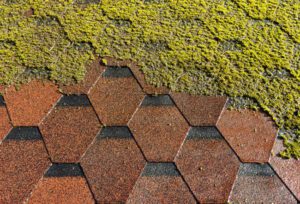 Soft Washing vs. Pressure Washing: What’s the Difference?