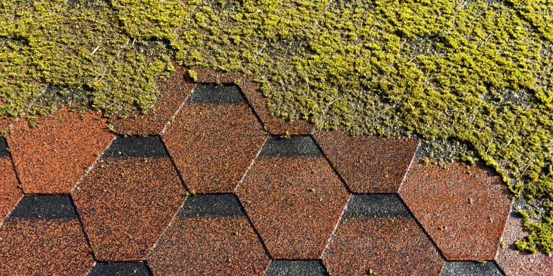 Soft Washing vs. Pressure Washing: What’s the Difference?