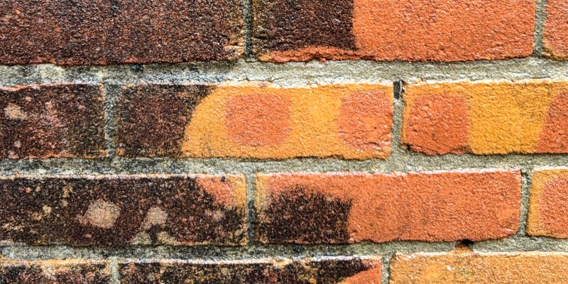 Exterior House Cleaning 101